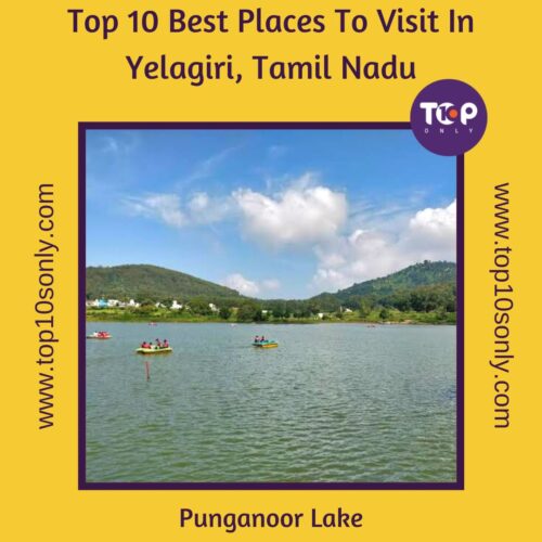top 10 best places to visit in yelagiri, tamil nadu punganoor lake