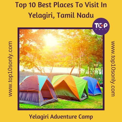 top 10 best places to visit in yelagiri, tamil nadu yelagiri adventure camp