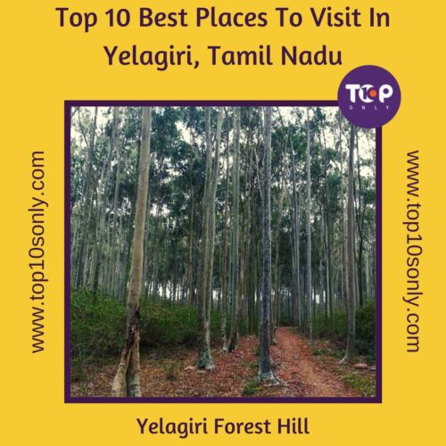 top 10 best places to visit in yelagiri, tamil nadu yelagiri forest hill