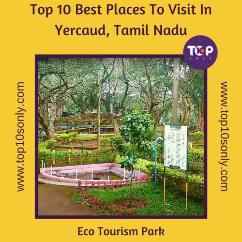 top 10 best places to visit in yercaud, tamil nadu eco tourism park