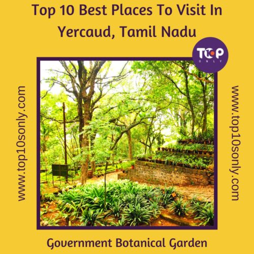 top 10 best places to visit in yercaud, tamil nadu government botanical garden
