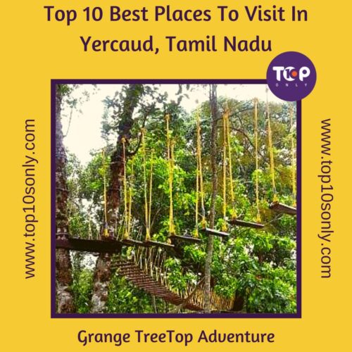 top 10 best places to visit in yercaud, tamil nadu grange treetop adventure