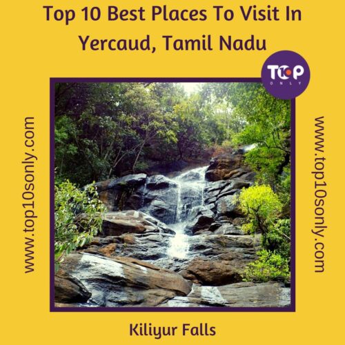 top 10 best places to visit in yercaud, tamil nadu kiliyur falls