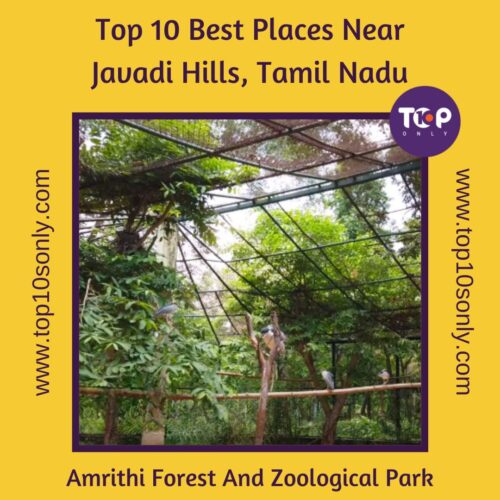 top 10 best places to visit in and around javadi hills, tamil nadu amrithi forest and zoological park