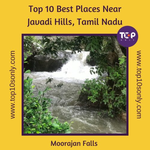 top 10 best places to visit in and around javadi hills, tamil nadu moorajan falls