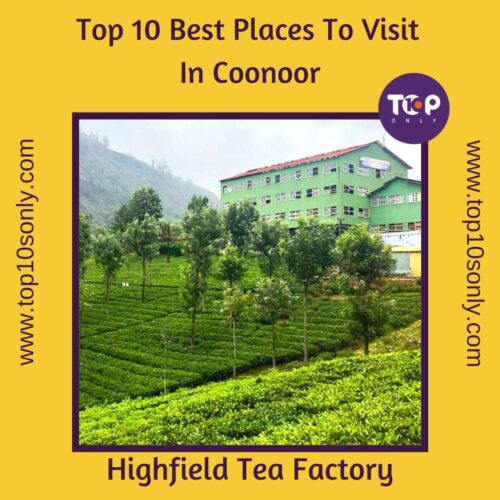 top 10 best places to visit in coonoor, tamil nadu highfield tea factory