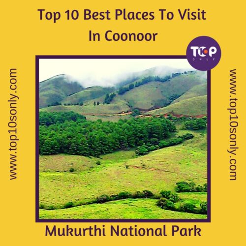 top 10 best places to visit in coonoor, tamil nadu mukurthi national park