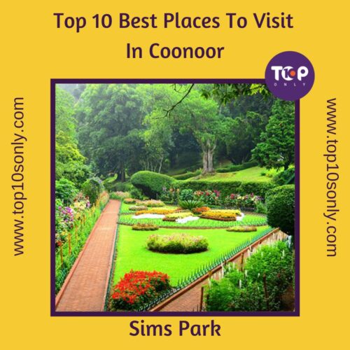 top 10 best places to visit in coonoor, tamil nadu sim's park
