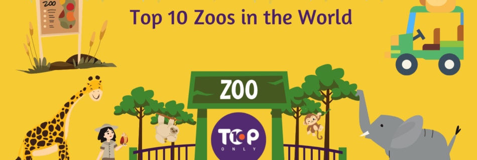 top 10 best zoos in the world