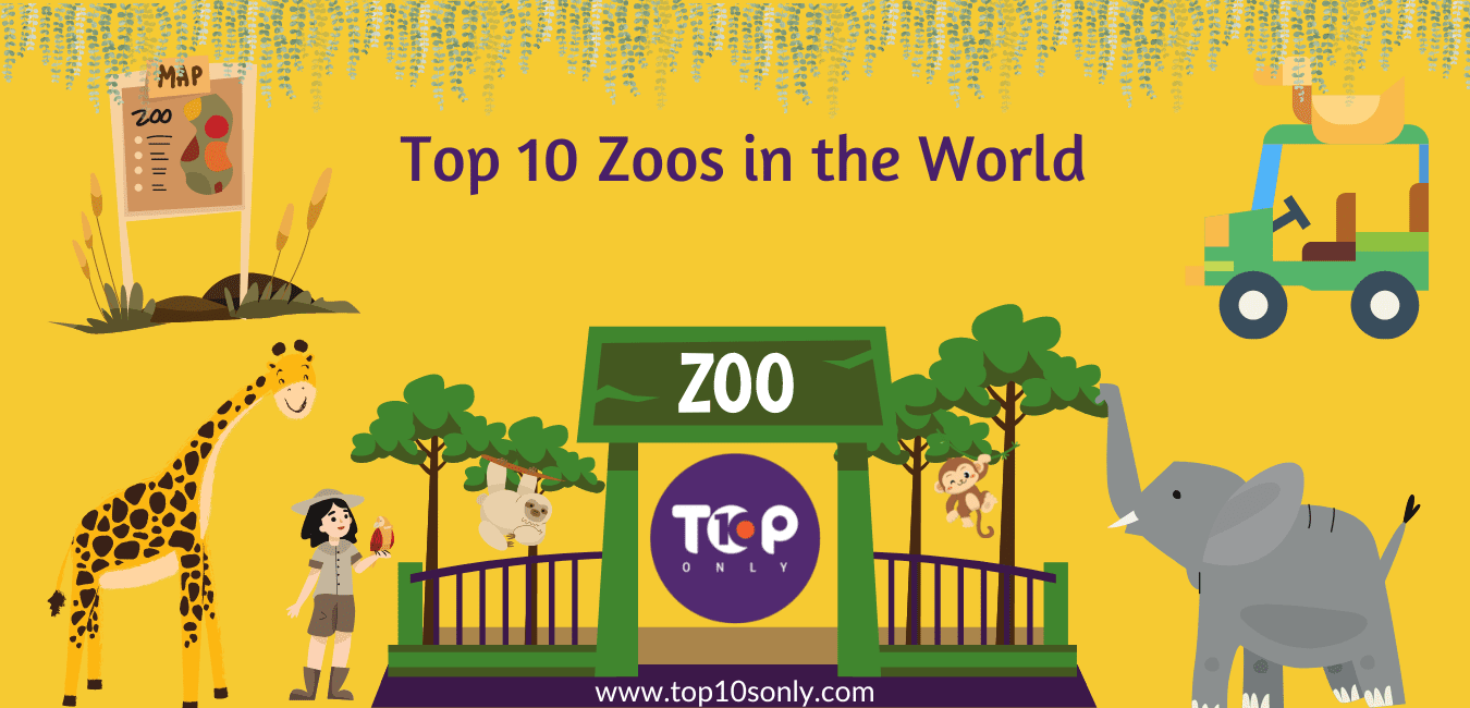 Top 10 Best Zoos In The World | Top 10s Only