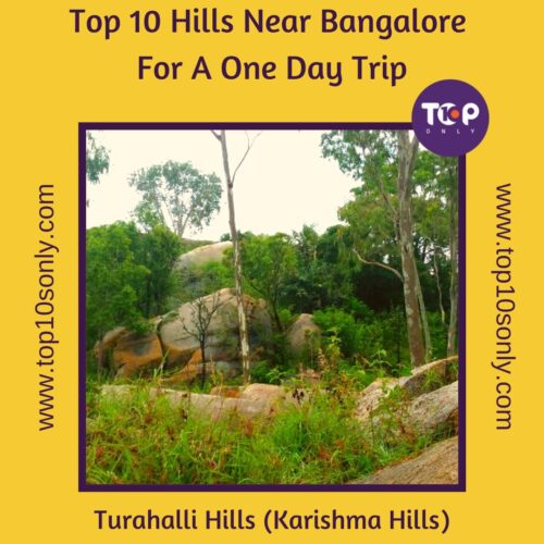 top 10 hills near bangalore for a one day trip turahalli hills (karishma hills)