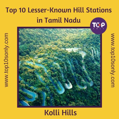 top 10 lesser known hill stations in tamil nadu kolli hills