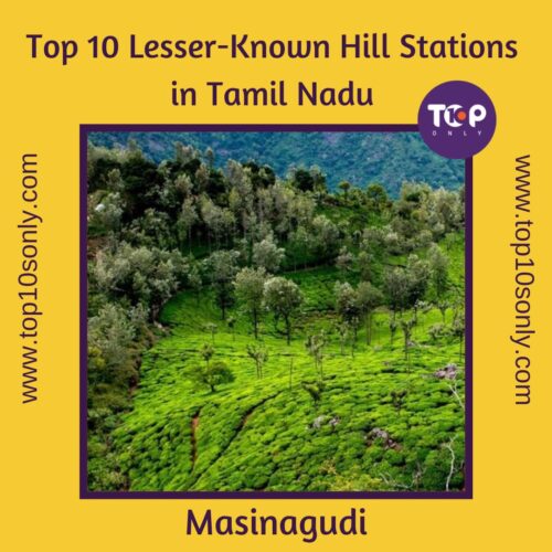 top 10 lesser known hill stations in tamil nadu masinagudi