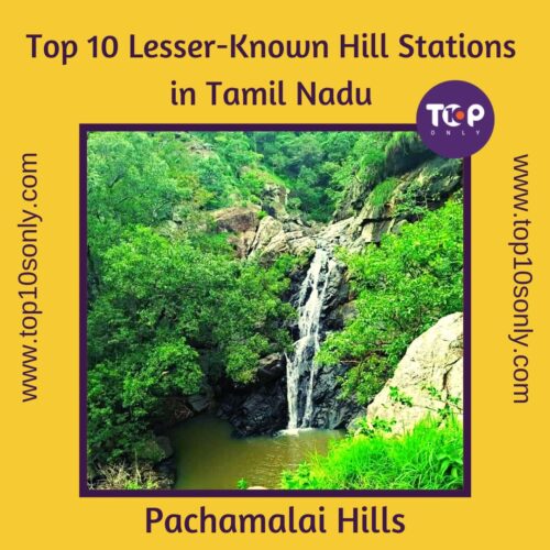 top 10 lesser known hill stations in tamil nadu pachamalai hills