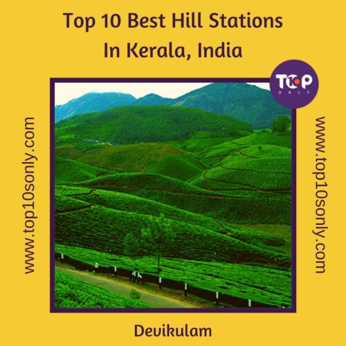top 10 best hill stations in kerala, india devikulam