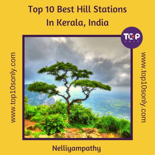 top 10 best hill stations in kerala, india nelliyampathy