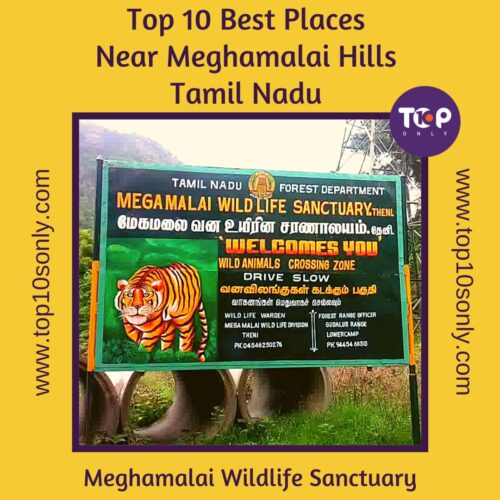 top 10 best places to visit in and around meghamalai hills meghamalai wildlife sanctuary