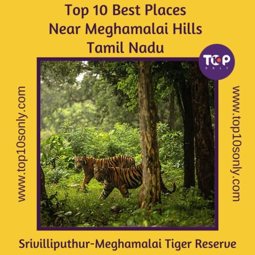 top 10 best places to visit in and around meghamalai hills srivilliputhur meghamalai tiger reserve