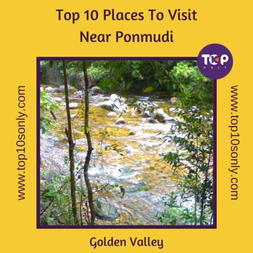 top 10 places to visit in and around ponmudi golden valley