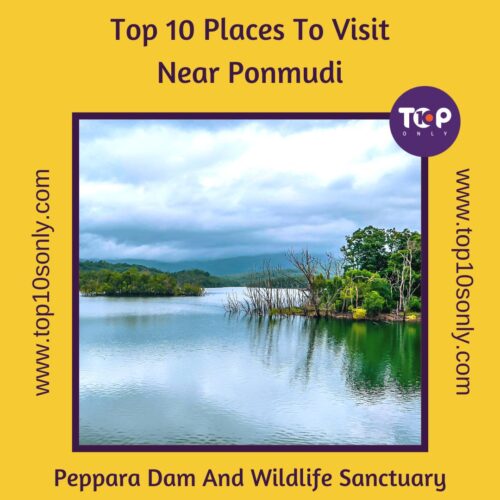 top 10 places to visit in and around ponmudi peppara dam and wildlife sanctuary