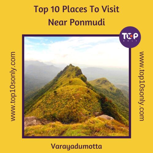 top 10 places to visit in and around ponmudi varayadumotta
