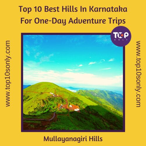 top 10 best hills in karnataka for one day adventure trips mullayanagiri hills