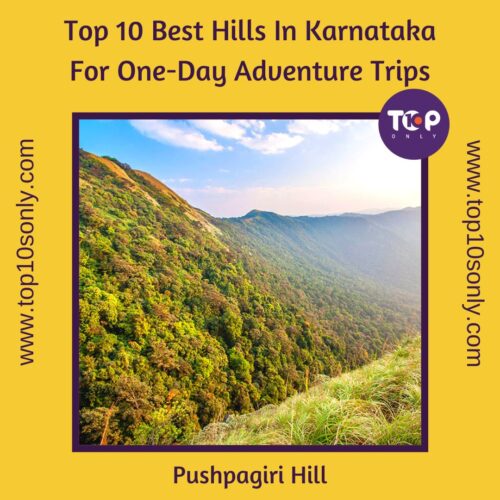 top 10 best hills in karnataka for one day adventure trips pushpagiri hill