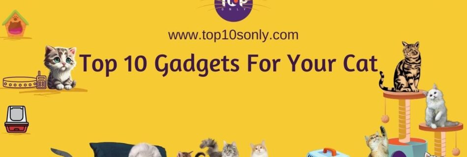 top 10 gadgets for your cat