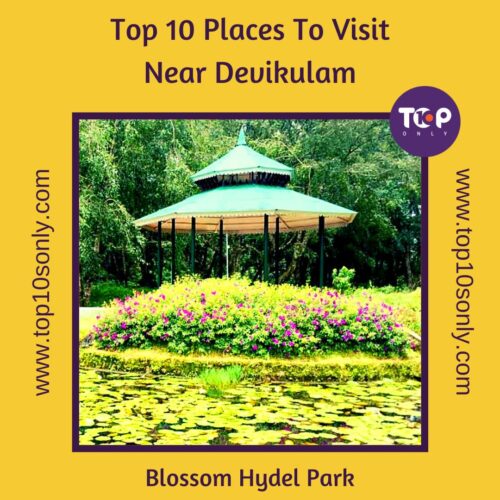 top 10 places to visit in and around devikulam blossom hydel park