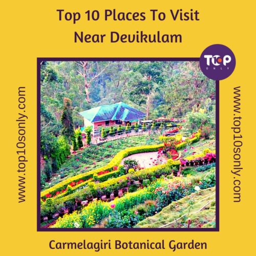 top 10 places to visit in and around devikulam carmelagiri botanical garden