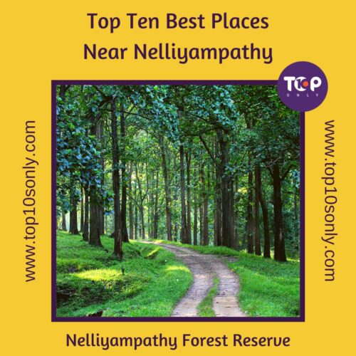 top ten best places to visit in and around nelliyampathy, kerala nelliyampathy forest reserve