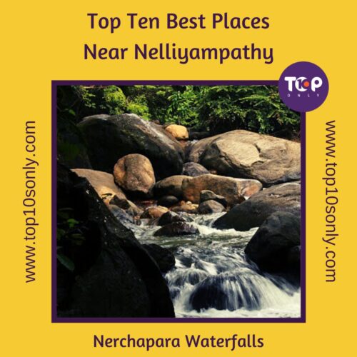 top ten best places to visit in and around nelliyampathy, kerala nerchapara waterfalls
