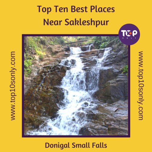 top 10 best places to visit in and around sakleshpur donigal small falls