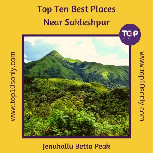 top 10 best places to visit in and around sakleshpurjenukallu betta peak