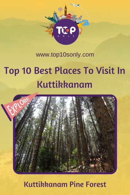 top 10 best places to visit in kuttikkanam kuttikkanam pine forest