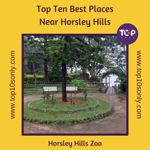 top ten best places to visit in and around horsley hills horsley hills zoo