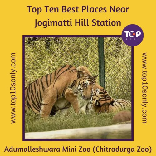 top ten best places to visit in and around jogimatti hill station adumalleshwara mini zoo (chitradurga zoo)
