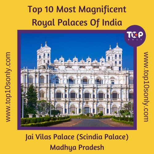 top 10 most magnificent royal palaces of india jai vilas palace (scindia palace) madhya pradesh