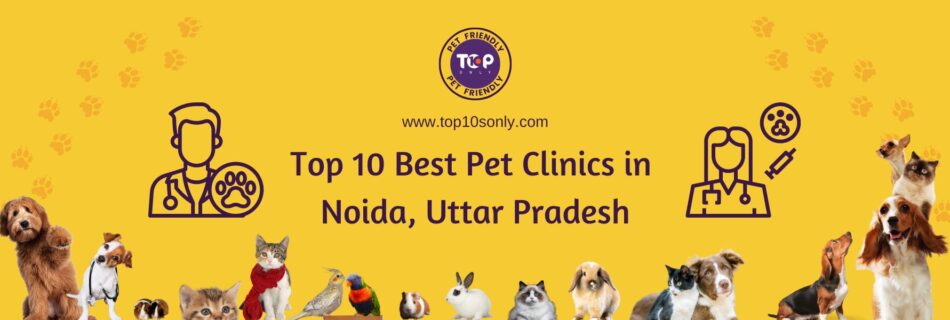 top 10 best pet clinics in noida, uttar pradesh(1800x600)