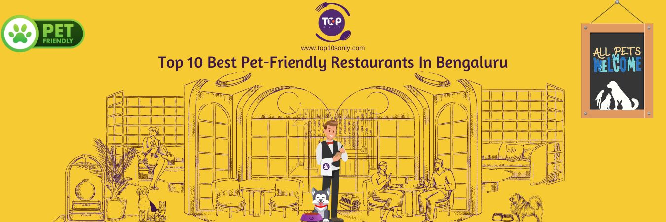 top 10 best pet friendly restaurants in bengaluru, karnataka