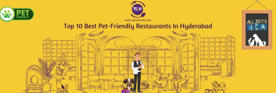 top 10 best pet friendly restaurants in hyderabad, telangana