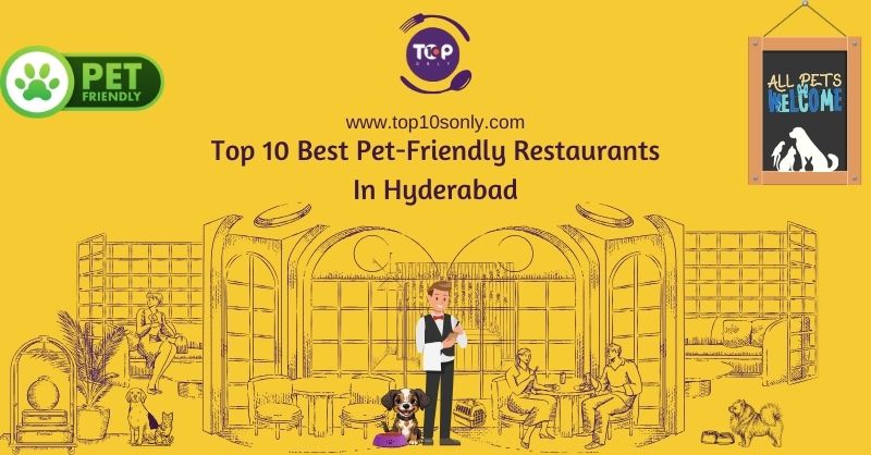 top-10-best-pet-friendly-restaurants-in-hyderabad-telangana-top-10s-only