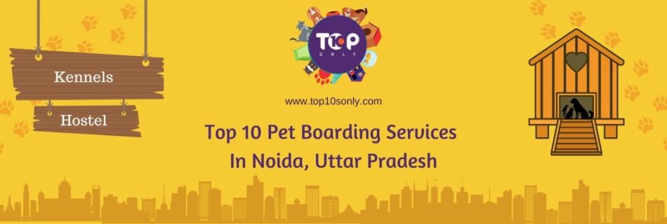 top 10 pet boarding services in noida, uttar pradesh