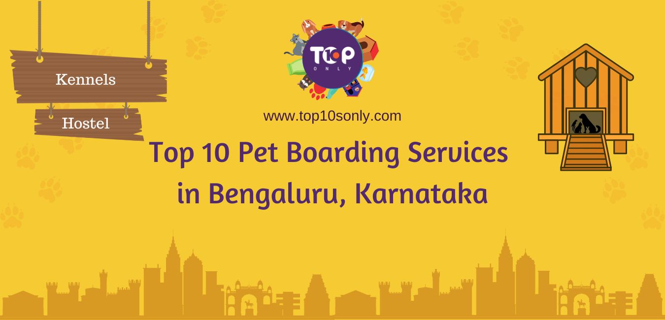 top 10 pet boarding services in bengaluru karnataka