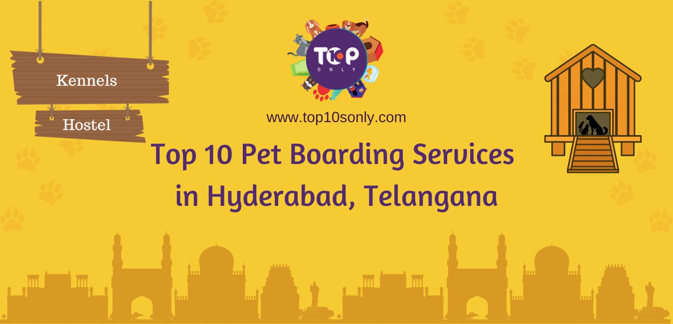 top 10 pet boarding services in hyderabad, telangana