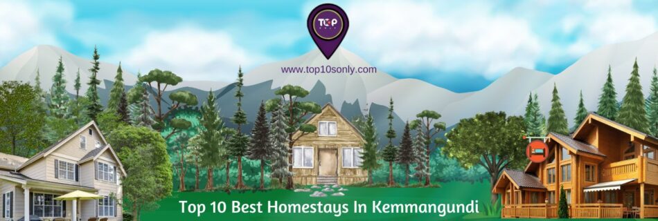 top 10 best homestays in kemmangundi