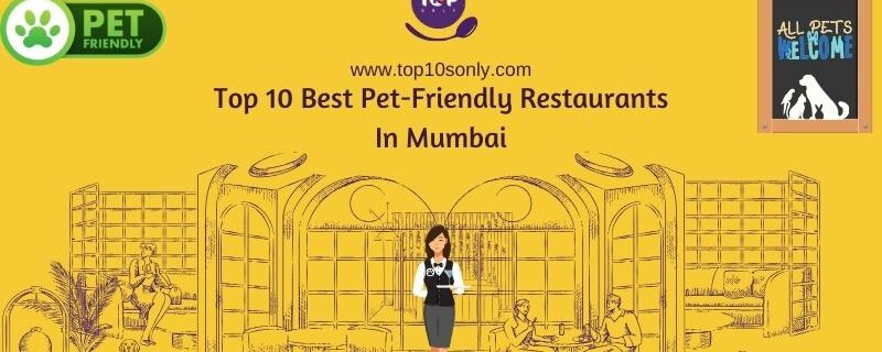 top 10 best pet friendly restaurants in mumbai social media
