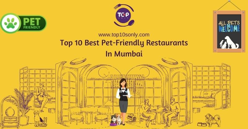 top 10 best pet friendly restaurants in mumbai social media