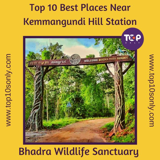 top 10 best places near kemmangundi hill station bhadra wildlife sanctuary