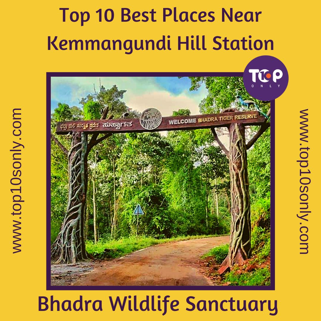 Top 10 Best Places In And Around Kemmanagundi, Karnataka | Top 10s Only